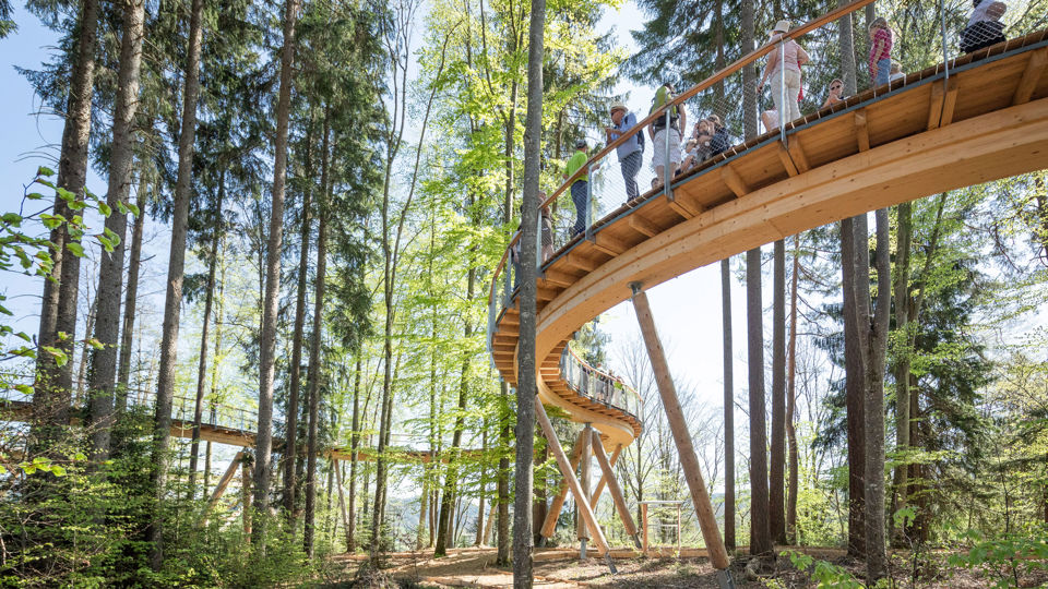 Brückenpfad des Baumwipfelpfads Neckertal