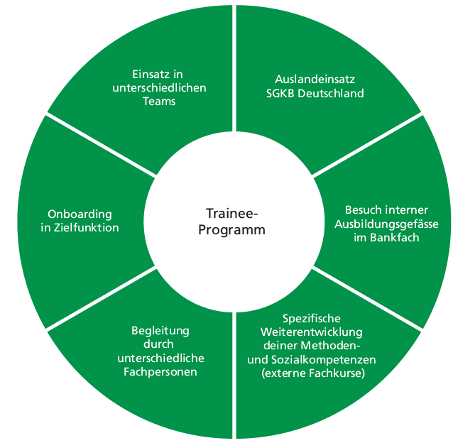 Alle Element des Traineeprogramms in einem Kreisdiagramm
